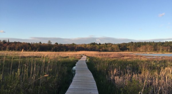 This Little Known Connecticut Conservation Center Is A Hidden Gem You’ll Want To Explore