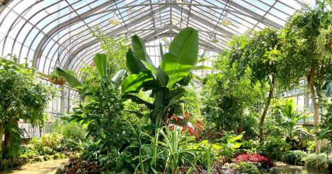 Here Are The 9 Most Beautiful Indoor Gardens You’ll Ever See In Michigan