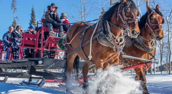 These 5 Horse-Drawn Sleigh Rides Around Denver Make For A Special Winter Adventure