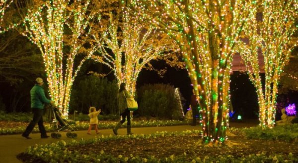 The Magical Tennessee Garden That Comes Alive With Light Each Winter