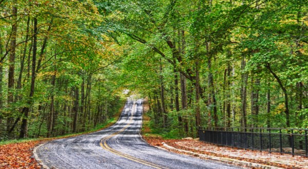 7 Roads With The Best Windshield Views In All Of South Carolina