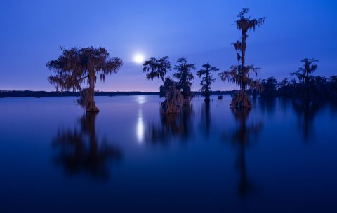 You'll Never Forget A Hike To One Of The Most Incredibly Scenic Places In Louisiana