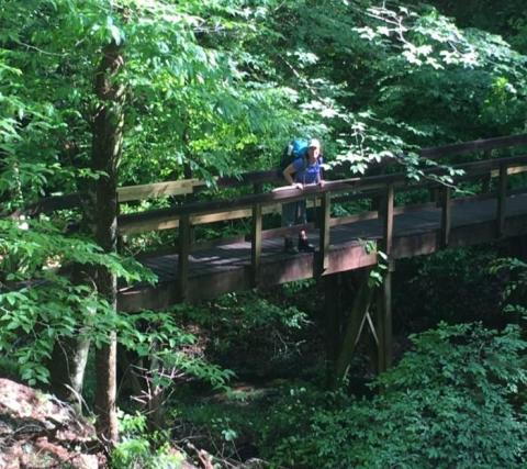7 Of The Greatest Hiking Trails On Earth Are Right Here In Mississippi