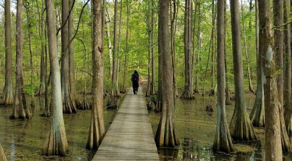 These 7 Trails In Louisiana Are Easy To Hike Year Round
