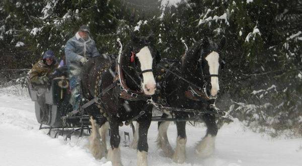 The Unforgettable Sleigh Ride Near Pittsburgh That’s Perfect For A Winter Day