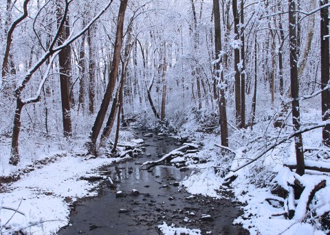 9 Picturesque Trails Around Philadelphia That Are Perfect For Winter Hiking