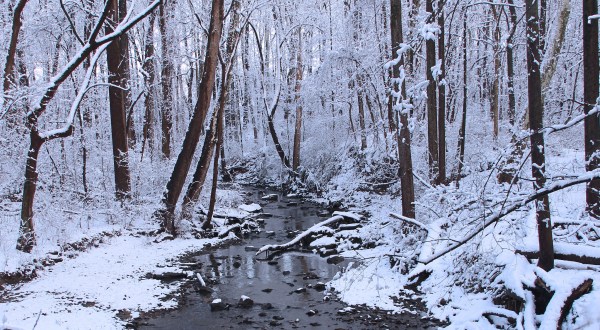 9 Picturesque Trails Around Philadelphia That Are Perfect For Winter Hiking