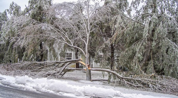 It’s Impossible To Forget The Horrible Ice Storm That Ravaged New Jersey In 2015