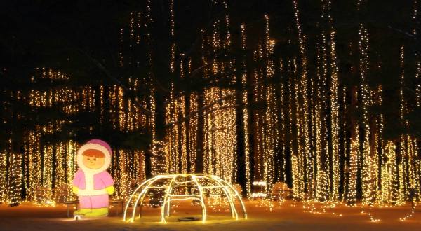 The Mesmerizing Christmas Display In Wisconsin With Over 1.5 Million Glittering Lights