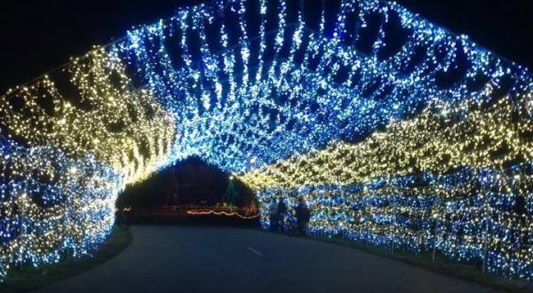Michigan’s Tunnel Of Lights Will Positively Dazzle You This Year