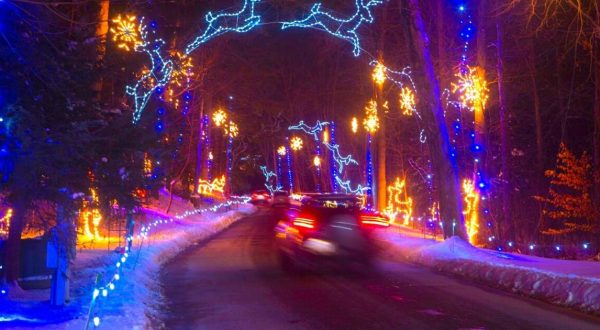 A Mesmerizing Christmas Display Massachusetts, Bright Nights At Forest Park Has Over 675,000 Glittering Lights