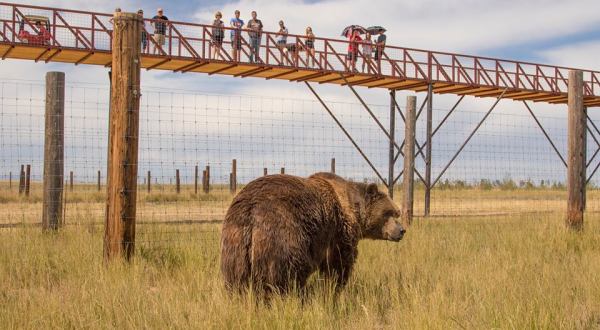 There’s A Wildlife Park Near Denver That’s Perfect For A Family Day Trip