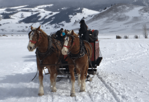 Make Memories To Last A Lifetime On This Wyoming Winter Safari