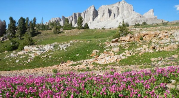 The Unspoiled Splendor Of This Wyoming Wildnerness Area Is Almost Too Beautiful To Be Believed