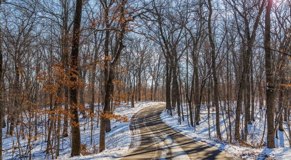 The One Snow-Covered Trail In Minnesota That You Have To Hike This Winter