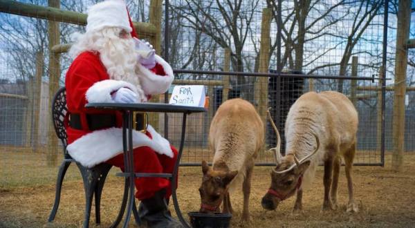 This Reindeer Farm Near Philadelphia Will Positively Enchant You This Season