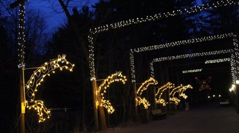 The Michigan Zoo That Comes To Life With Holiday Spirit Every Winter