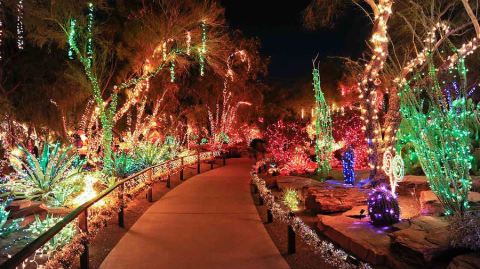 The Unique Holiday Adventure In Nevada That Pairs A Chocolate Factory With Over A Million Lights