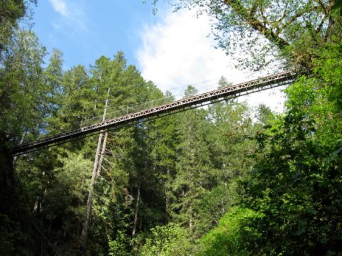 The Stomach-Dropping Suspended Bridge Walk You Can Only Find In Oregon