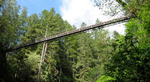 The Stomach-Dropping Suspended Bridge Walk You Can Only Find In Oregon