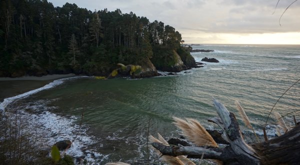 The Northern California Park That Will Make You Feel Like You Walked Into A Fairy Tale