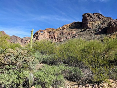 You Won’t Want To Miss Hiking These 7 Arizona Desert Trails This Winter