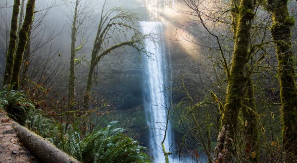 Hike This Trail With 10 Stunning Waterfalls Near Portland For The Most Magical Winter Excursion Ever
