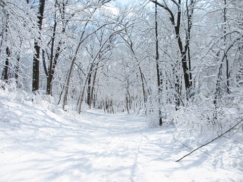13 Reasons No One In Their Right Mind Visits Wisconsin In The Winter