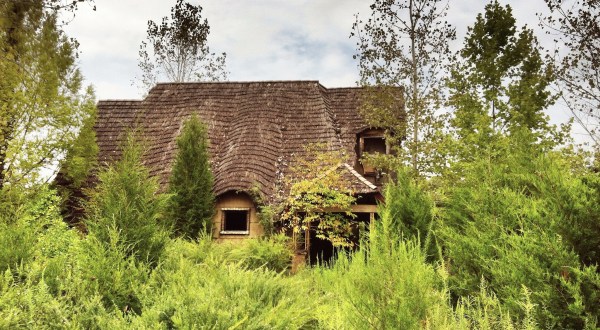 This Creepy Spot Deep In The Woods Of Virginia Is Like Something Out Of A Horror Movie