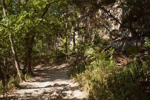 The 6 Most Beautiful Bike Trails You Can Take In Austin