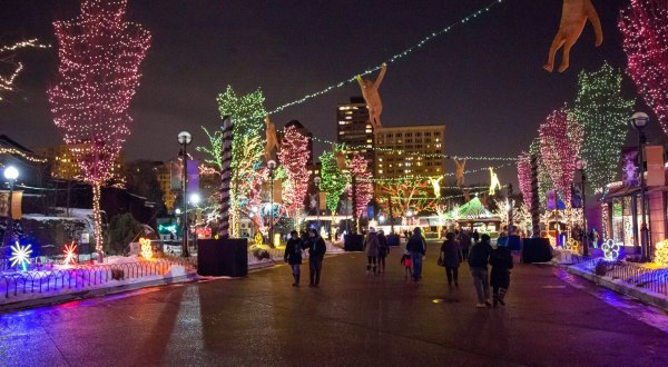 11 Magical Light Displays In Chicago That Will Simply Mesmerize You This Season