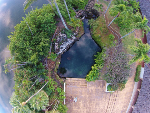 One Of Hawaii's Last Remaining Freshwater Springs Is Hiding In Plain Sight