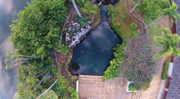 One Of Hawaii’s Last Remaining Freshwater Springs Is Hiding In Plain Sight