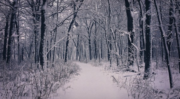 10 Things No One Tells You About Surviving An Illinois Winter