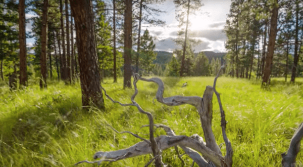 This Amazing Timelapse Video Shows Montana Like You’ve Never Seen it Before