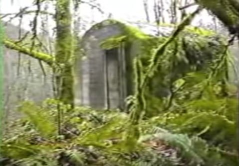 Nature Is Reclaiming This One Abandoned Washington Spot And It's Actually Amazing