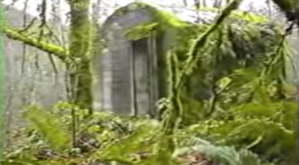 Nature Is Reclaiming This One Abandoned Washington Spot And It’s Actually Amazing