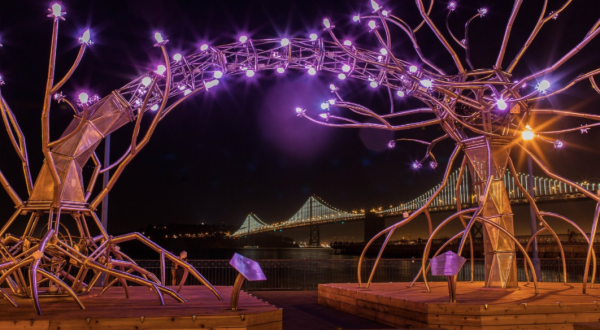 There’s No Other Holiday Light Show Quite Like This One In San Francisco