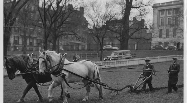 12 Very Rare Photos Taken During WWII In Boston