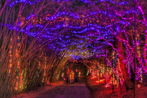 The Mesmerizing Christmas Display In Alabama With Over 3 Million Glittering Lights