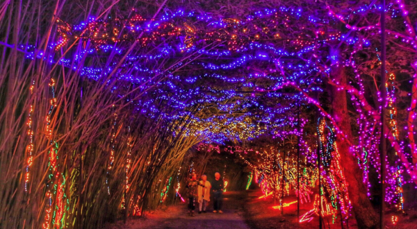 The Mesmerizing Christmas Display In Alabama With Over 3 Million Glittering Lights