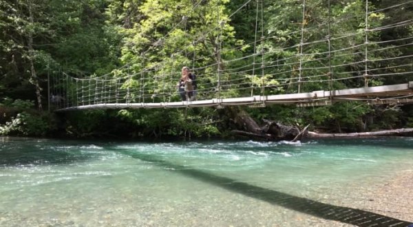 The Stomach-Dropping Suspended Bridge Walk You Can Only Find In Washington