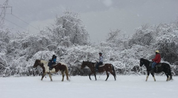 The Winter Horseback Riding Adventure Near Cincinnati That’s Pure Magic