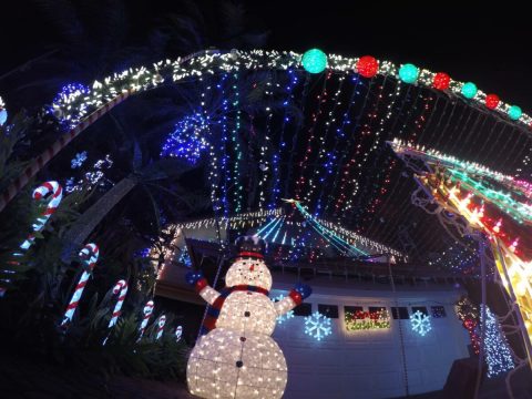 The Mesmerizing Christmas Display In Hawaii With Over 80,000 Glittering Lights
