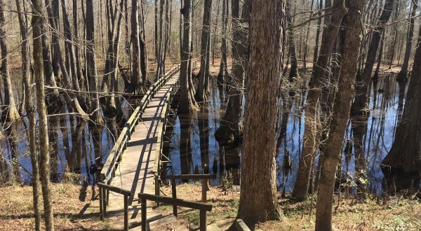 The Absurdly Beautiful Hike In Mississippi That Will Make You Feel At One With Nature