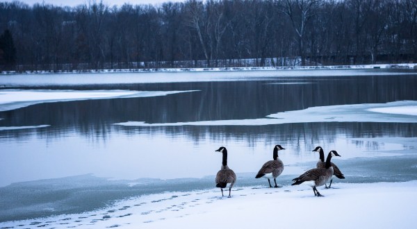 10 Things No One Tells You About Surviving A Missouri Winter
