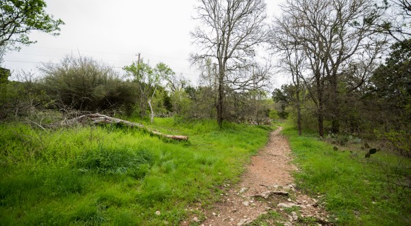 The Easy 1-Mile Winter Hike In Austin That’s Positively Bewitching