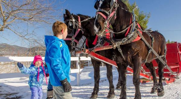 Embrace the Magic of the Season on These 7 New Hampshire Sleigh Rides