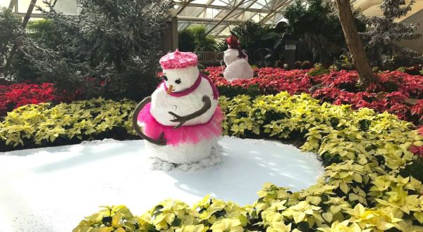 Every Day Is A Snow Day At This Epic Indiana Indoor Winter Wonderland