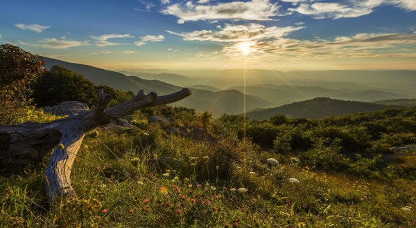 10 Ways Virginia Has Quietly Become The Coolest State In America